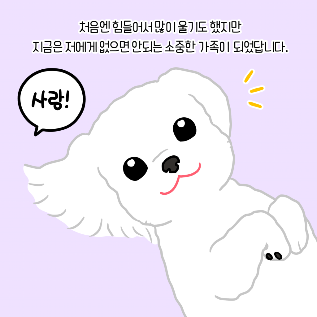 강아지 벌러덩