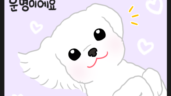강아지 웹툰
