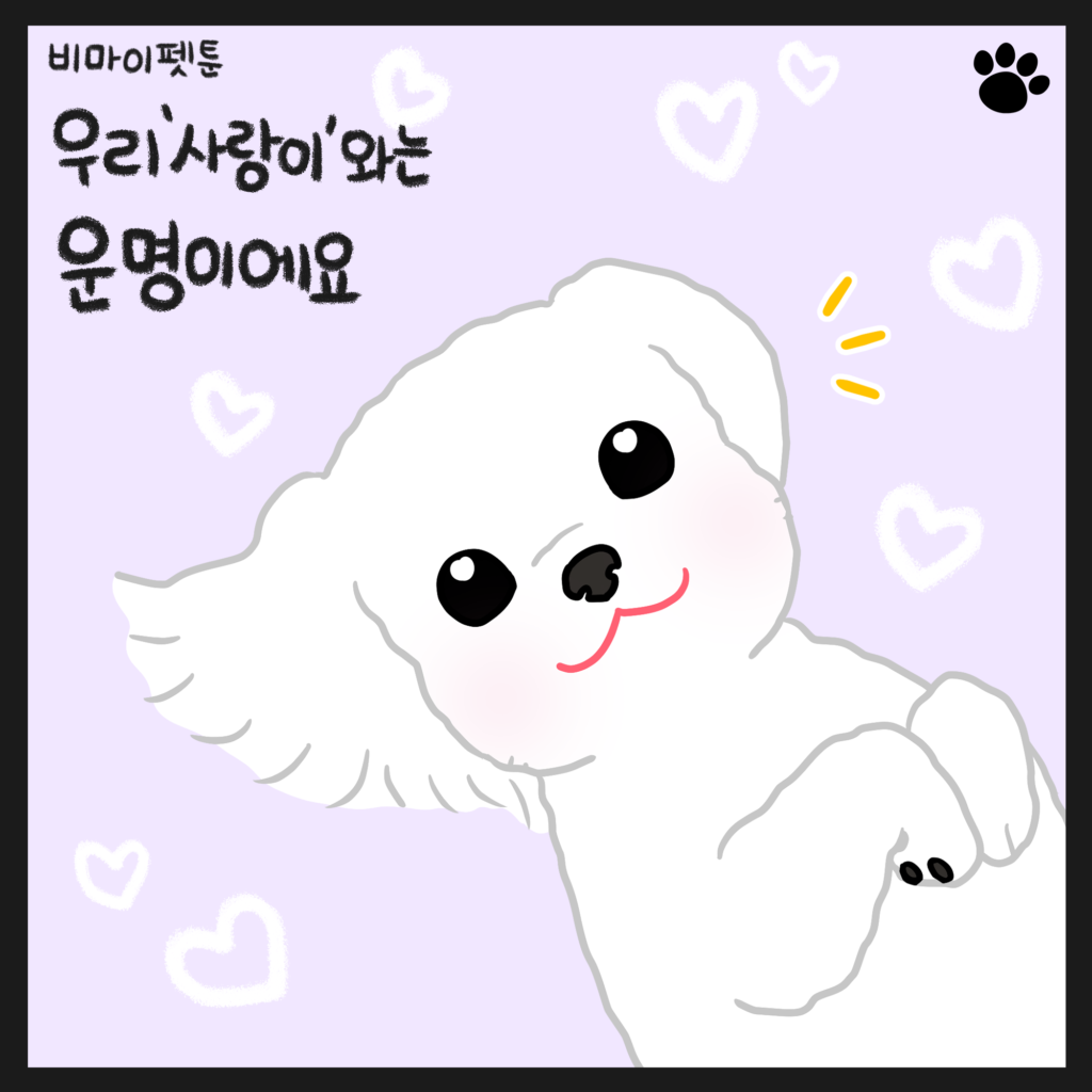 강아지 웹툰