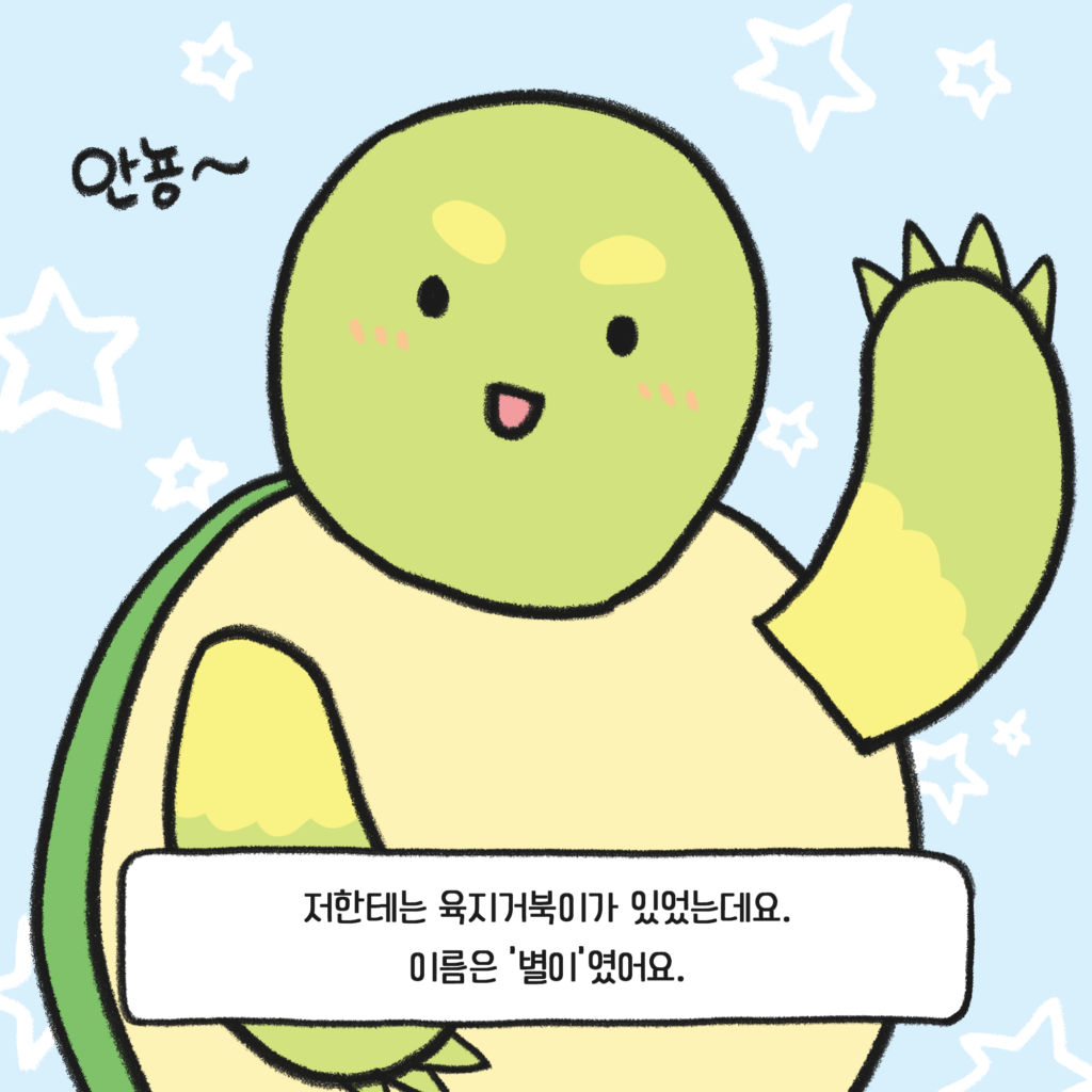거북이