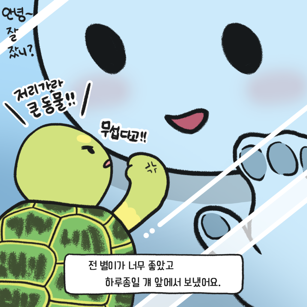 동물웹툰