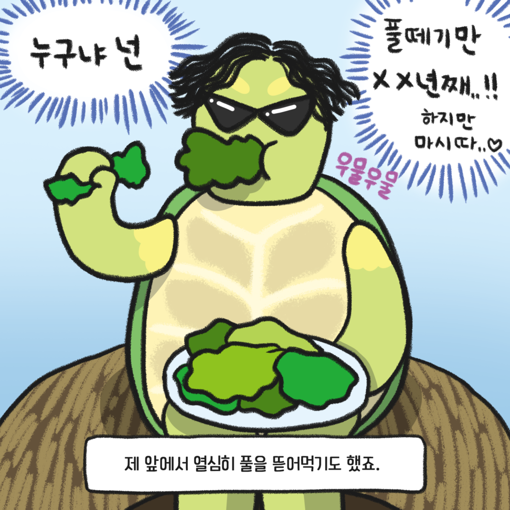 거북이 사료