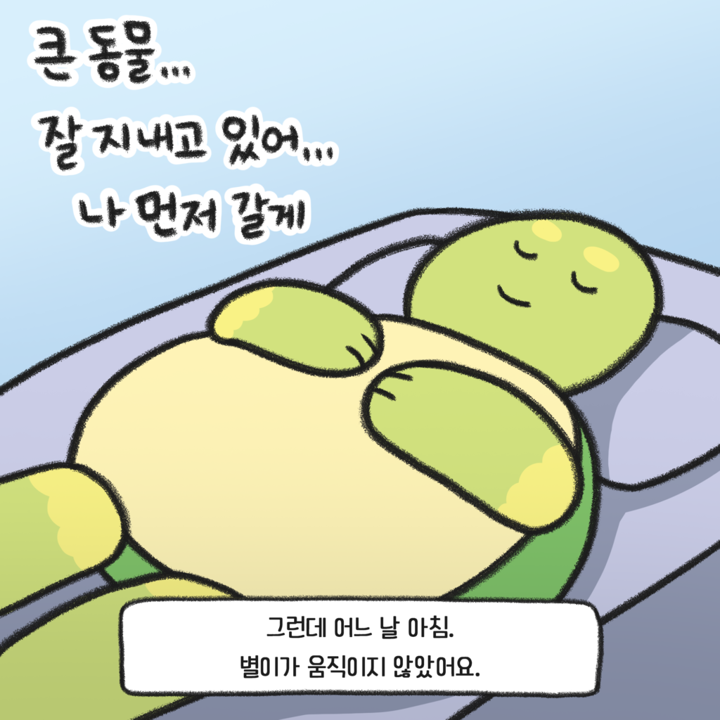 거북이
