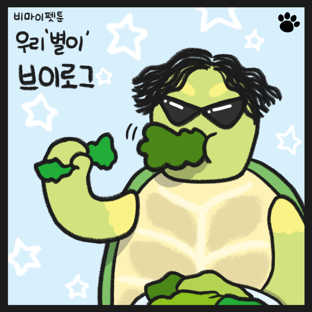 거북이 키우기