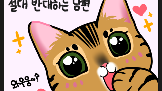 고양이 웹툰
