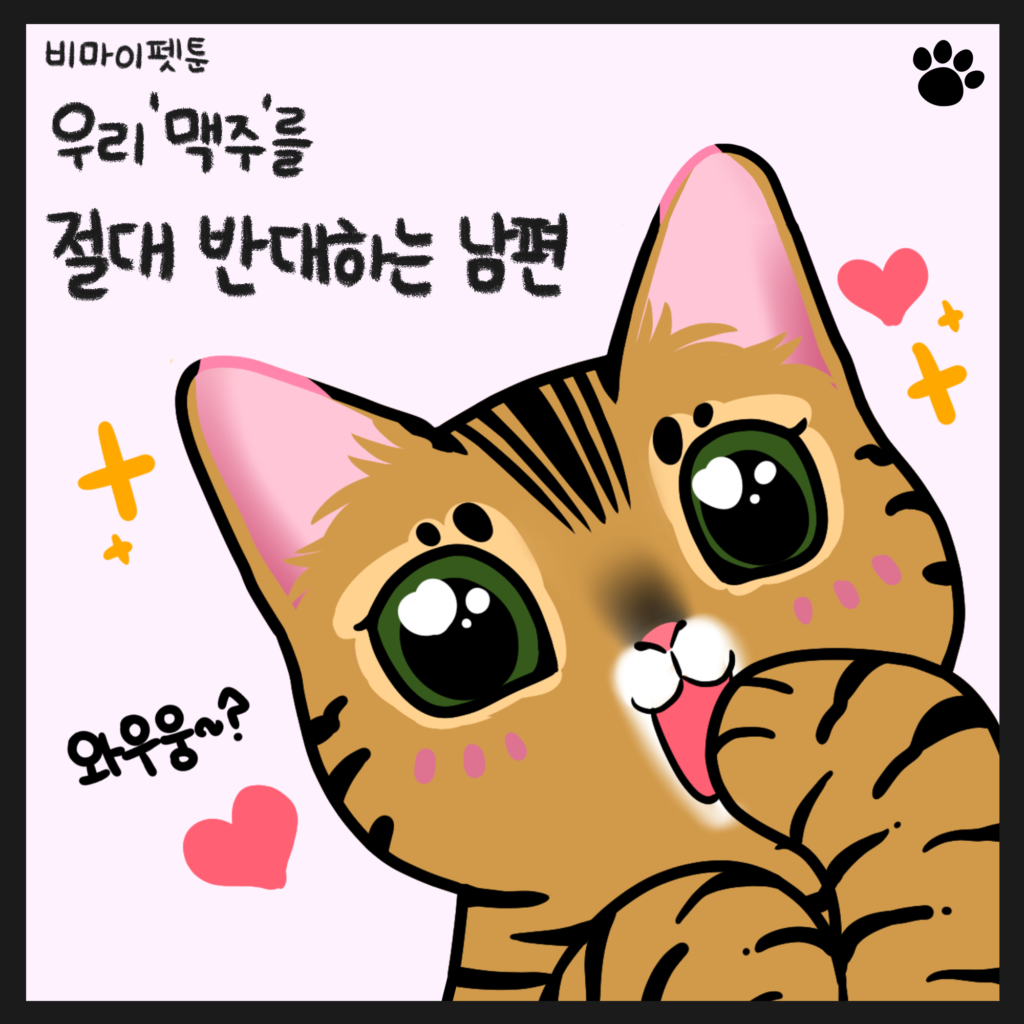 고양이 웹툰