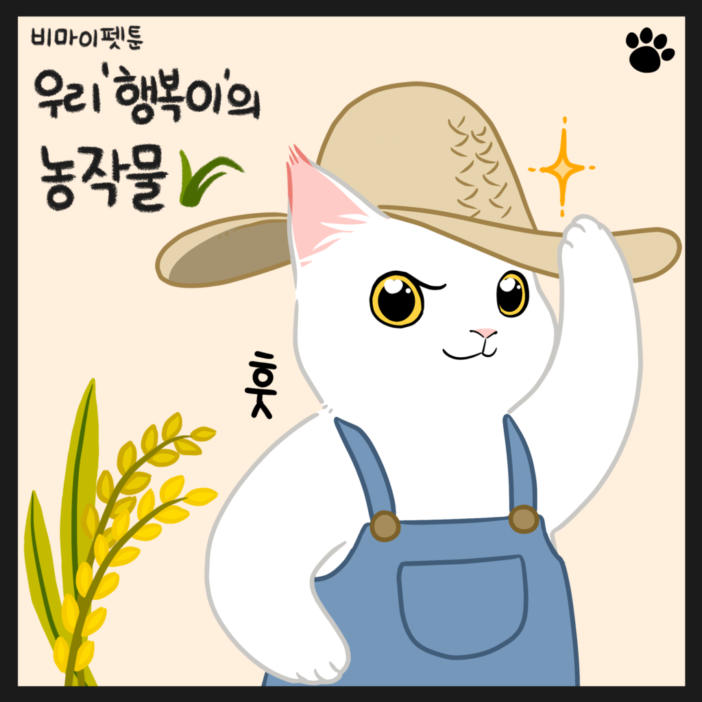 고양이 농사