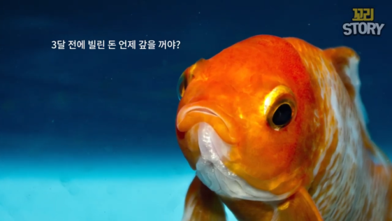 동물상식
