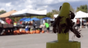 batch_02.gif