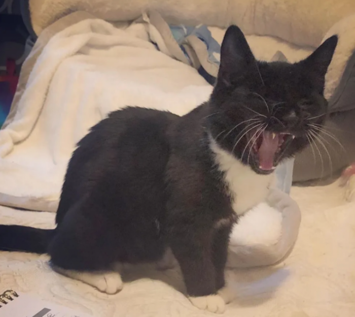 batch_05.png