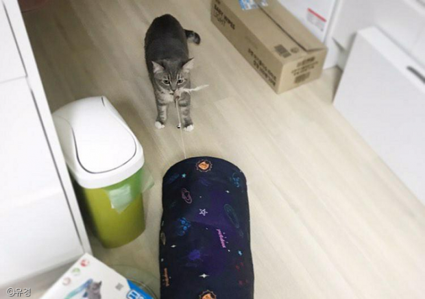 ㅇㅇ