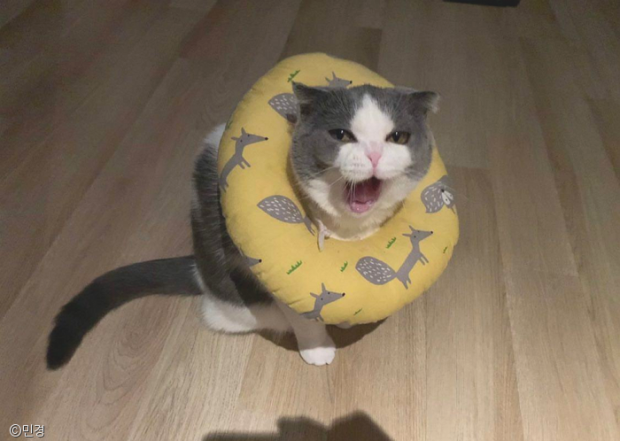 ㅇㅇ