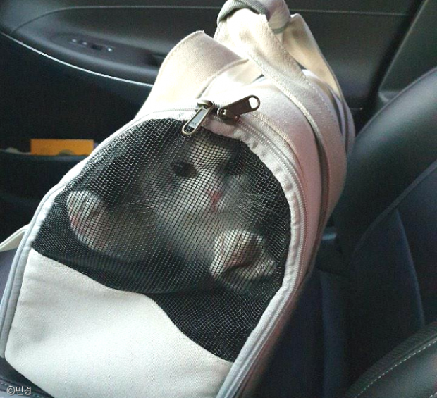 ㅇㅇ