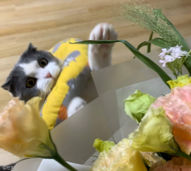 ㅇㅇ