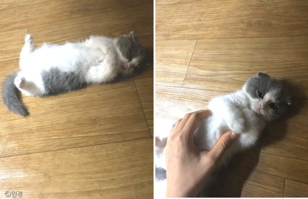 ㅇㅇ