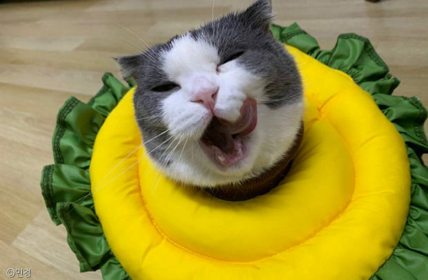 ㅇㅇ