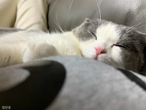 ㅇㅇ