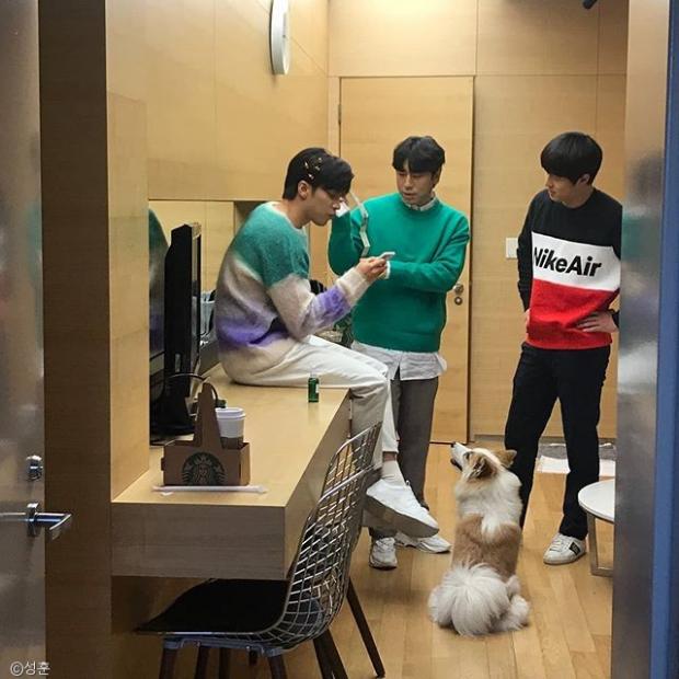 ⓒ노트펫