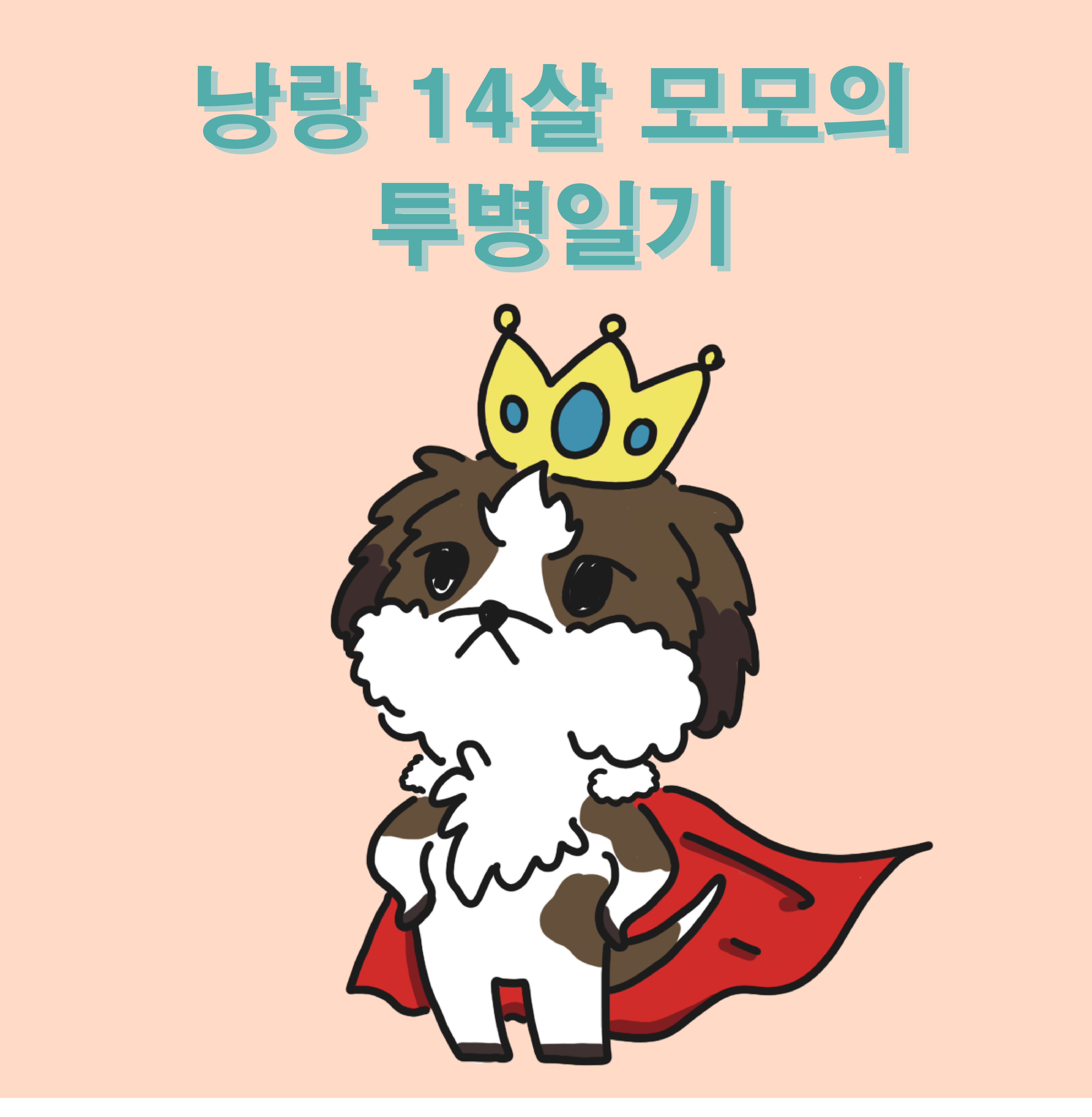 낭랑 14살 모모의 투병일기