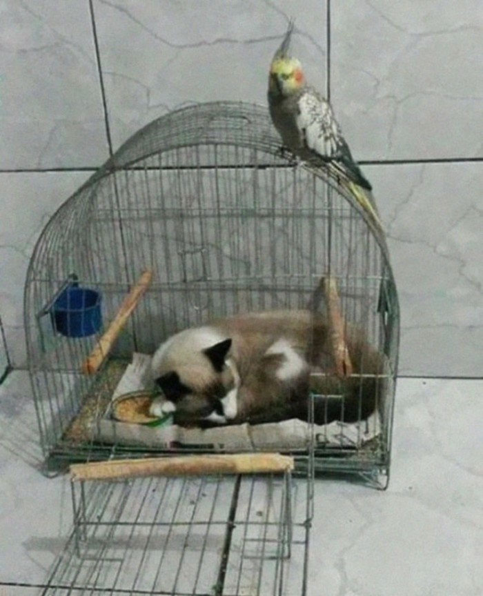 batch_17.jpg