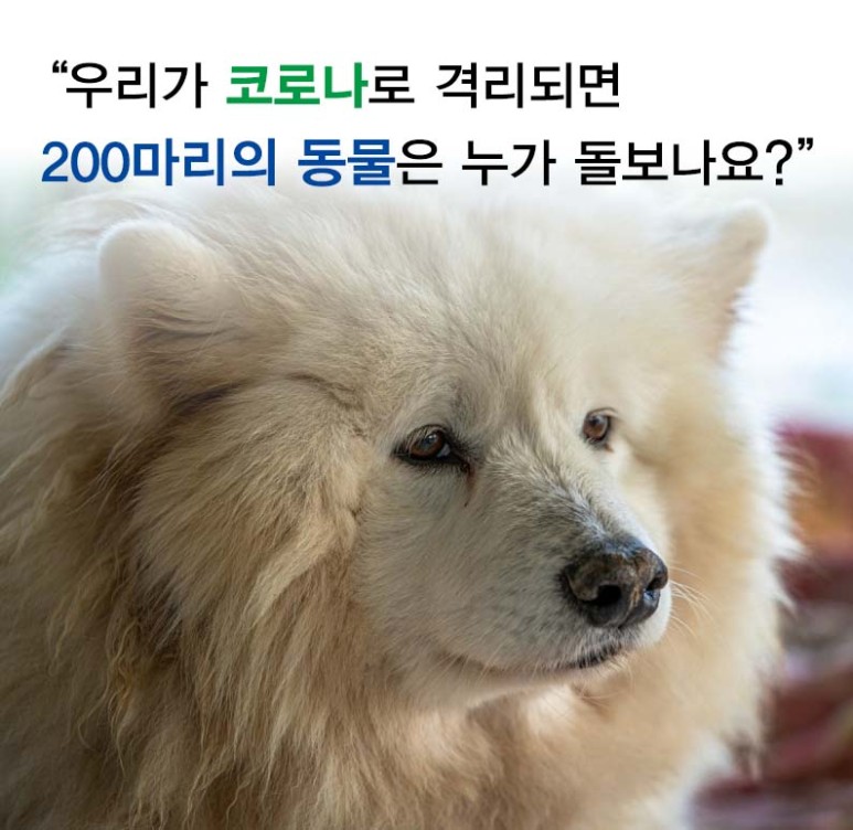 멍냥공방