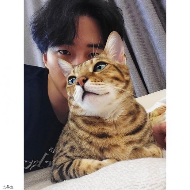 ⓒ노트펫
