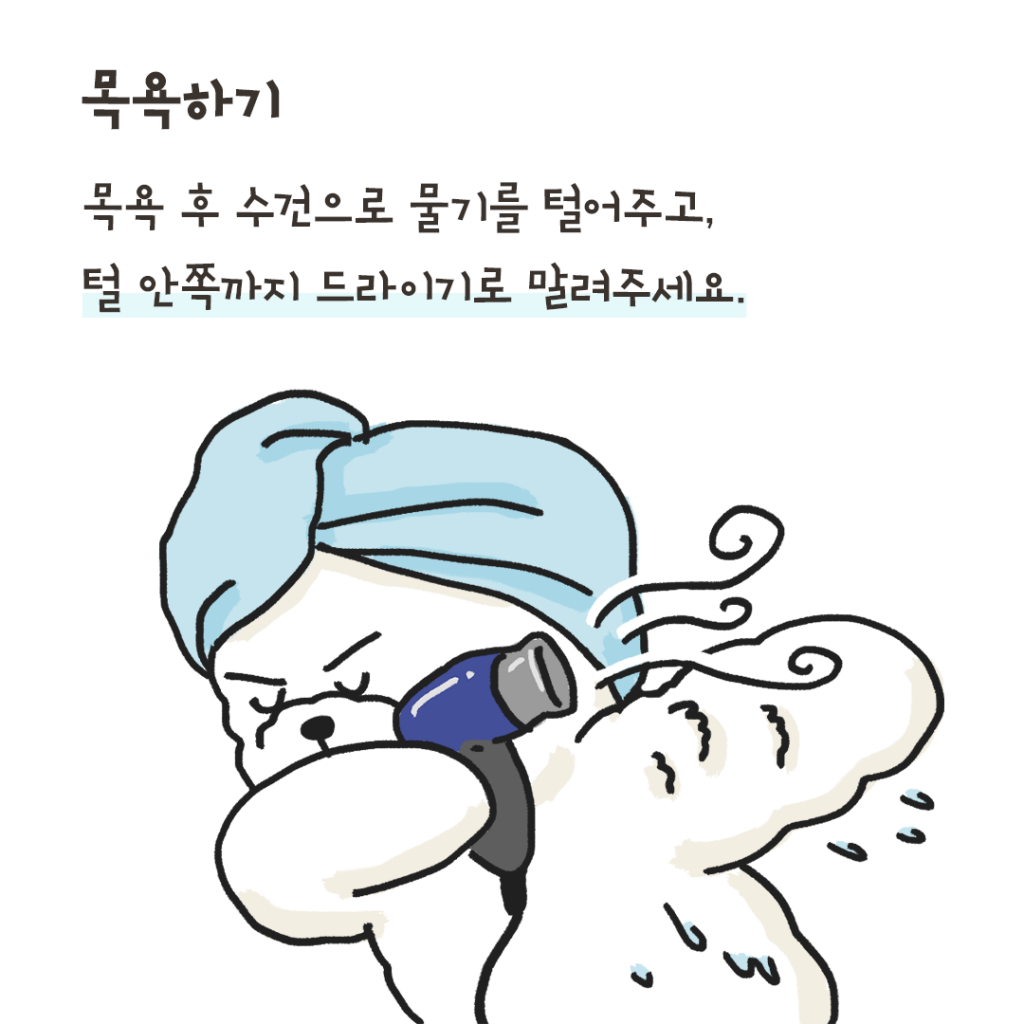 개냄새 해결 방법