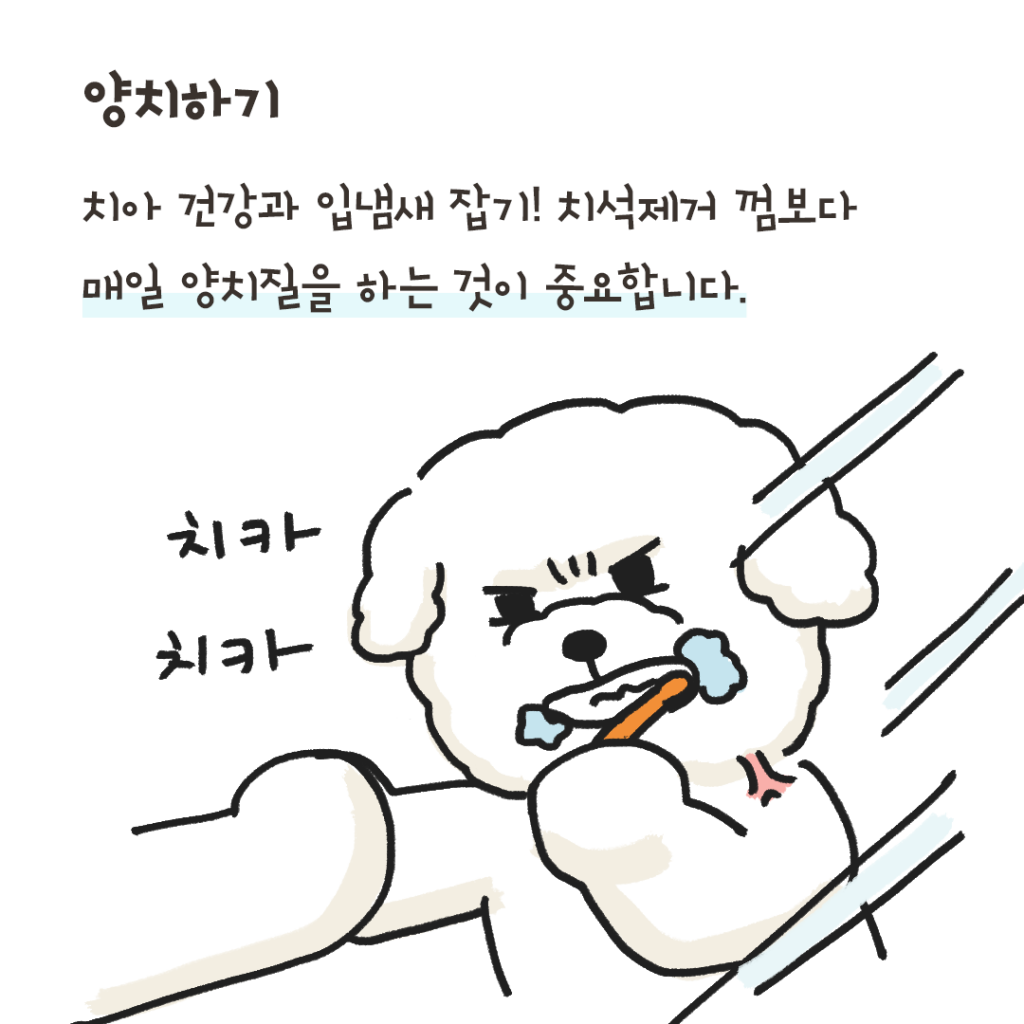 개냄새 해결 방법