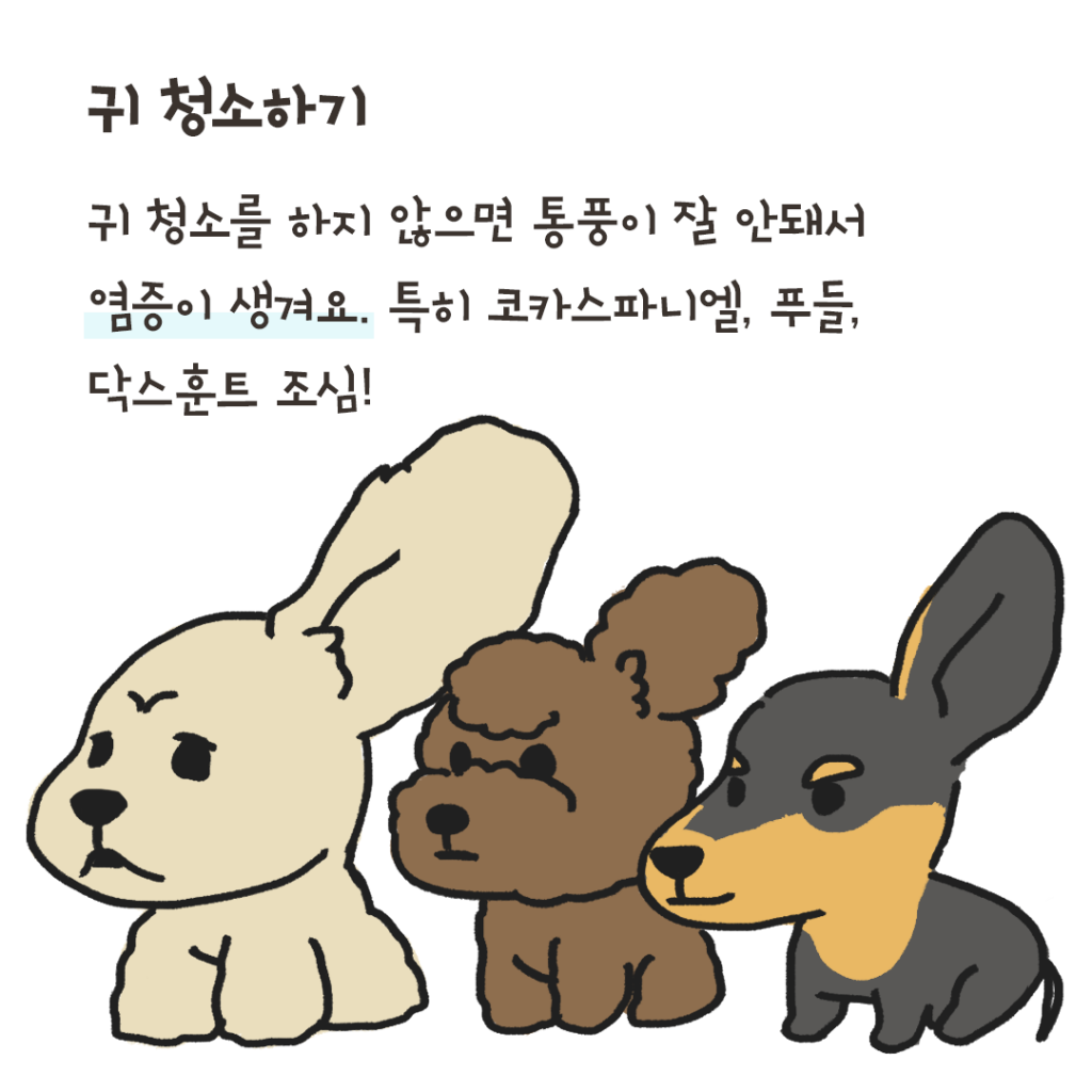 개냄새 해결 방법