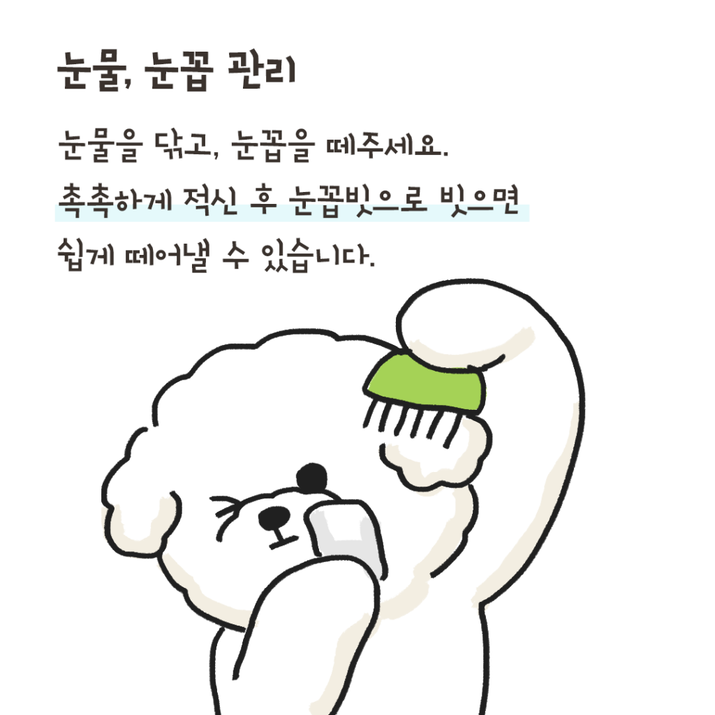 개냄새 해결 방법