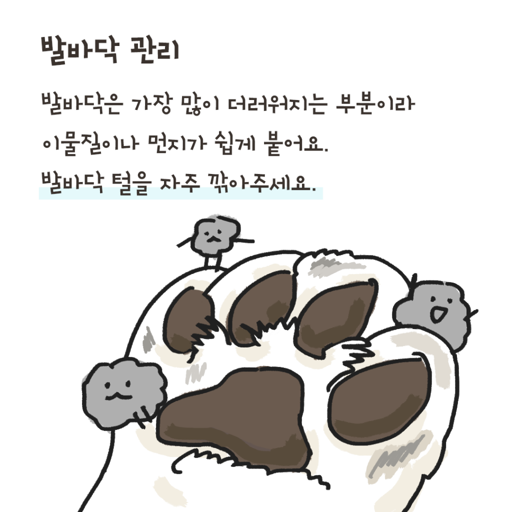 개냄새 해결 방법