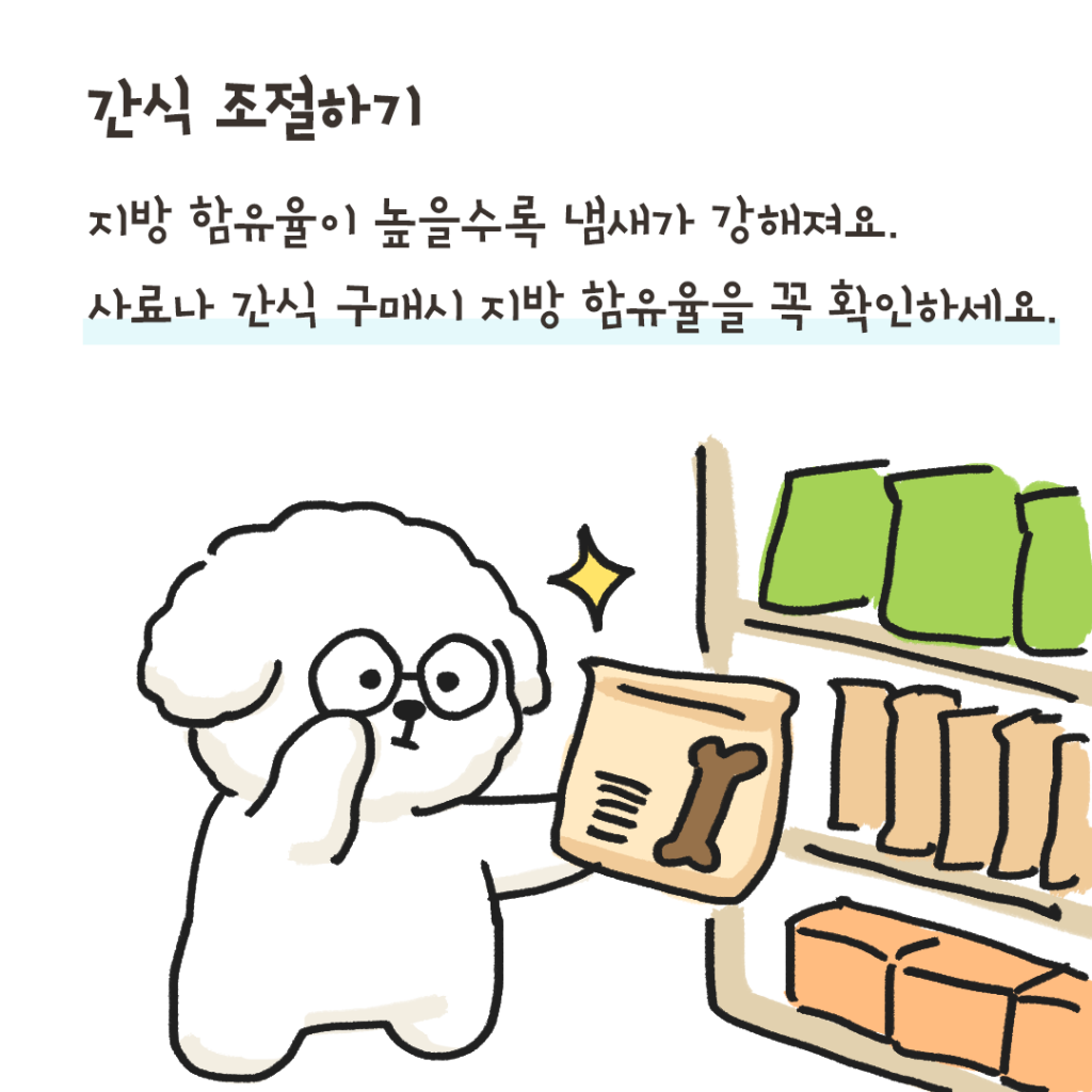 개냄새 해결 방법