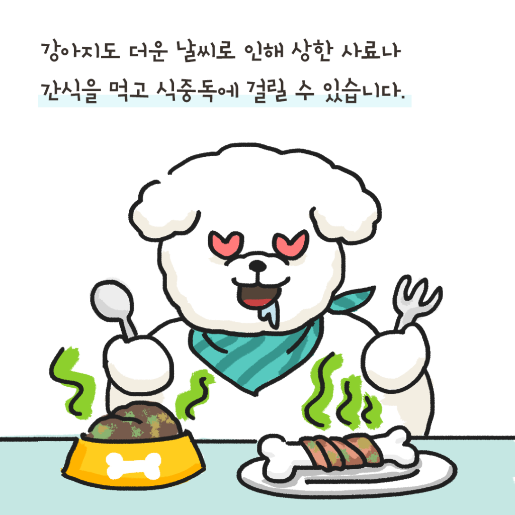 강아지 식중독