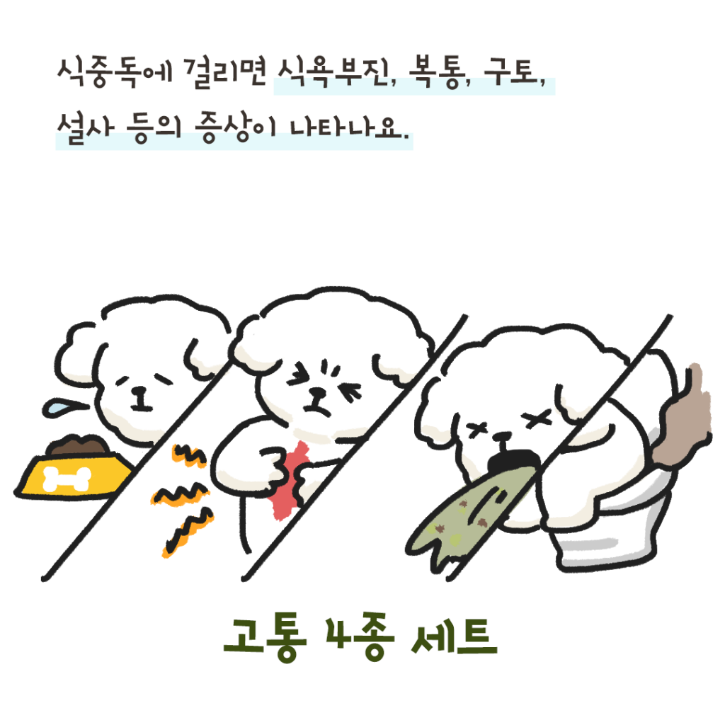 강아지 식중독