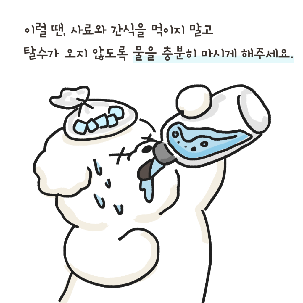 강아지 식중독