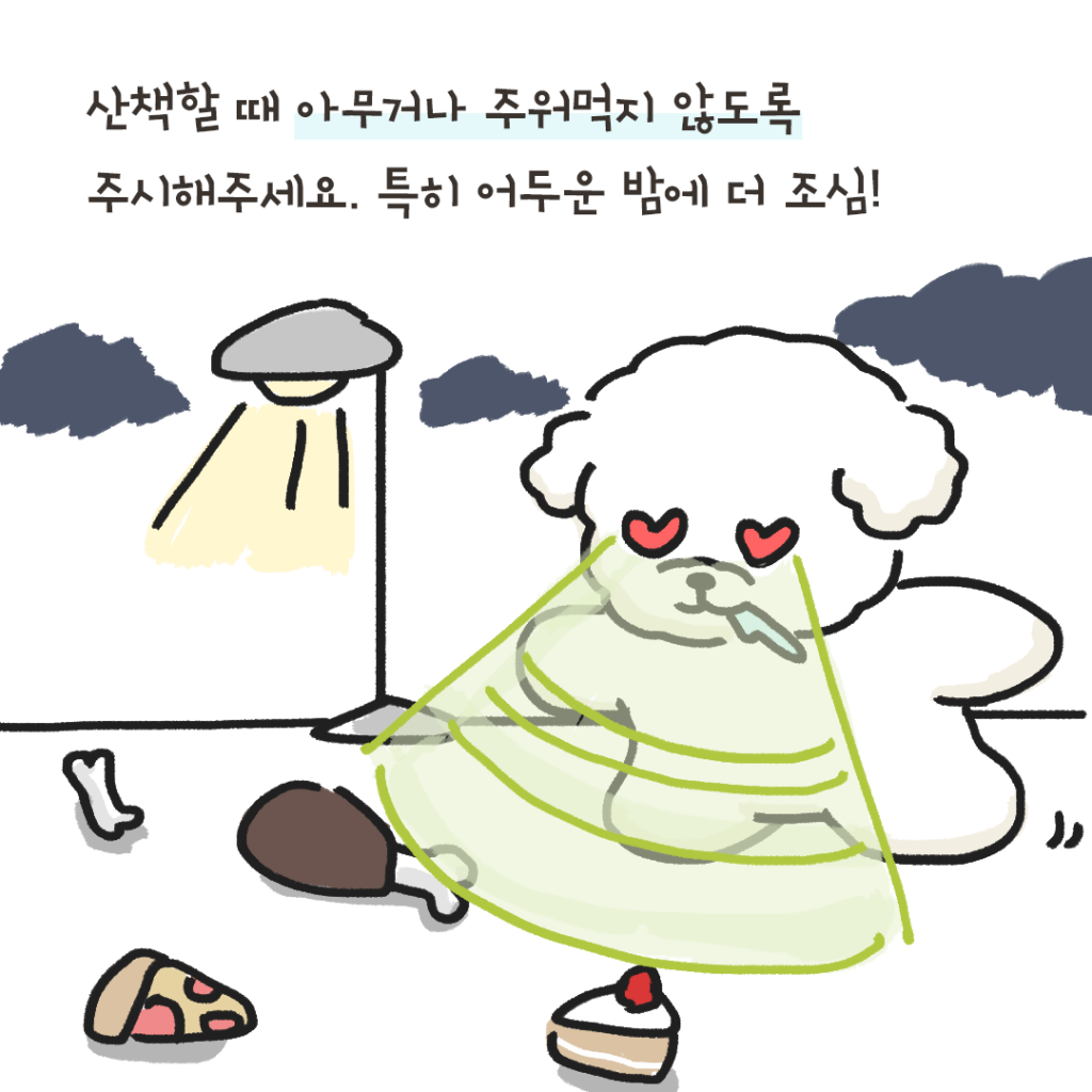강아지 식중독