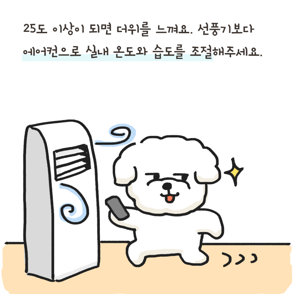 강아지 더위