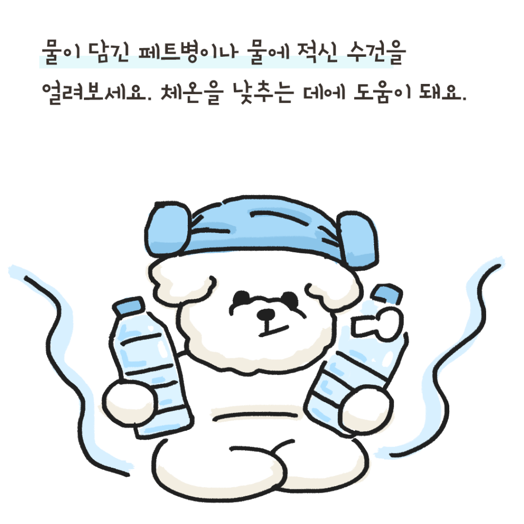 강아지 더위