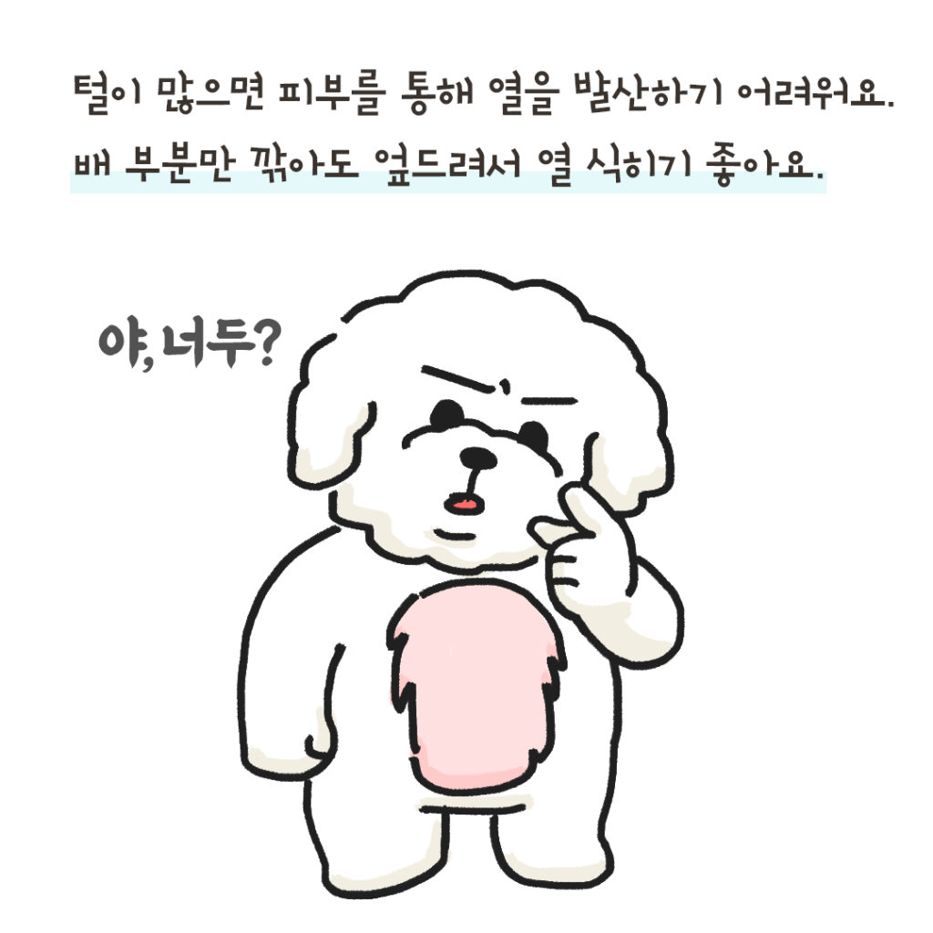 강아지 더위