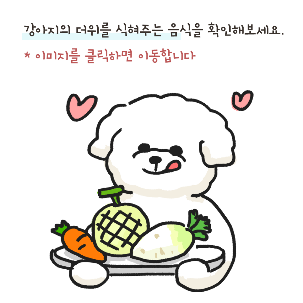 강아지 더위
