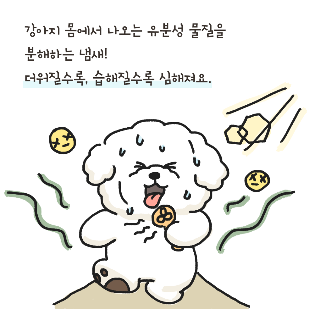 개냄새 나는 이유