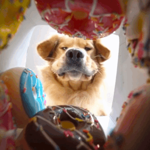 batch_02.gif