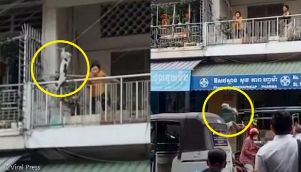 [사진=라퍼블리카 영상 갈무리(이하)]