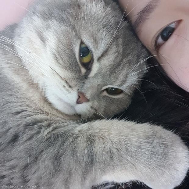 ⓒ노트펫