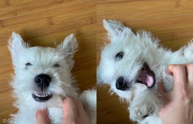 ㄹㄹㄹ