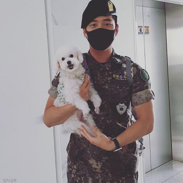 ⓒ노트펫