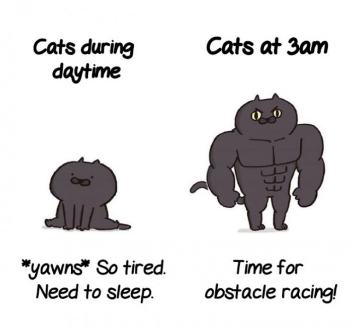 batch_02.jpg
