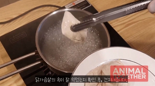 출처 : YOUTUBE '베이컹리TV' - 강아지 닭죽 레시피