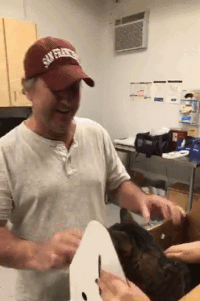 batch_03.gif