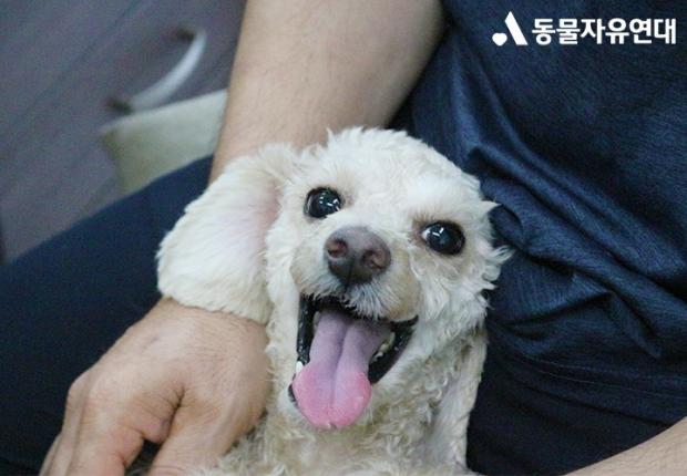 ⓒ노트펫